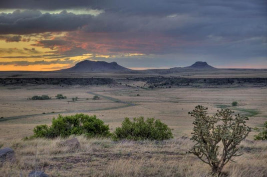 Southwest Shuffle: Dance with the Kokopelli in Every Sip